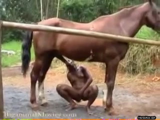 slut has fun with a huge horse dick