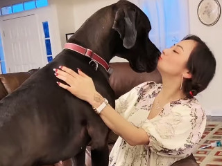 zoophilia slut porn wet pussy slut gets fucked by dog